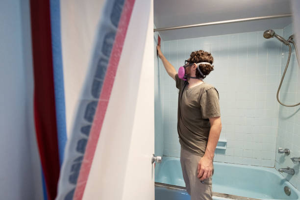 Best Black Mold Removal  in Mount Pleasant, IA