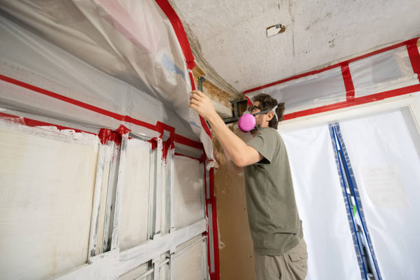 Best Indoor Air Quality Assessment  in Mount Pleasant, IA