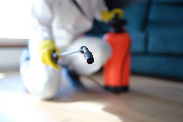 Best Water Damage & Mold Remediation  in Mount Pleasant, IA