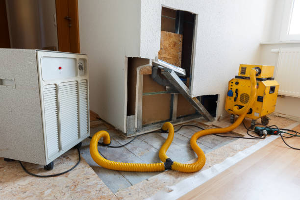 Best Comprehensive Air Testing for Mold Contaminants  in Mount Pleasant, IA