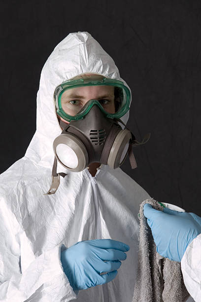 Best Emergency Mold Remediation  in Mount Pleasant, IA